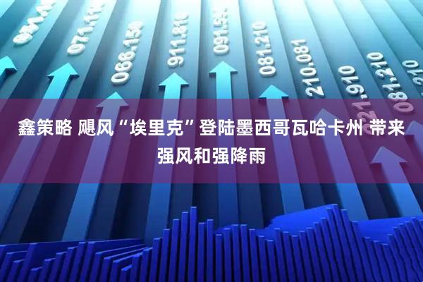 鑫策略 飓风“埃里克”登陆墨西哥瓦哈卡州 带来强风和强降雨