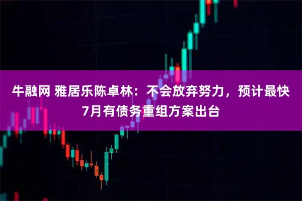 牛融网 雅居乐陈卓林：不会放弃努力，预计最快7月有债务重组方案出台