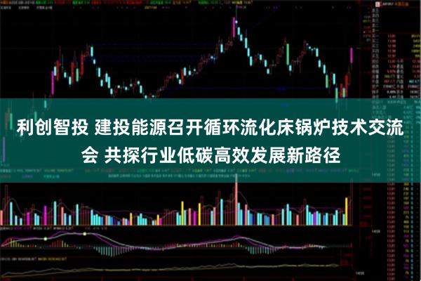 利创智投 建投能源召开循环流化床锅炉技术交流会 共探行业低碳高效发展新路径