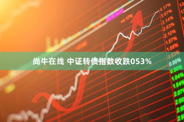 尚牛在线 中证转债指数收跌053%