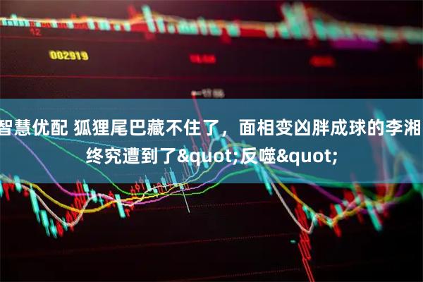 智慧优配 狐狸尾巴藏不住了，面相变凶胖成球的李湘，终究遭到了"反噬"