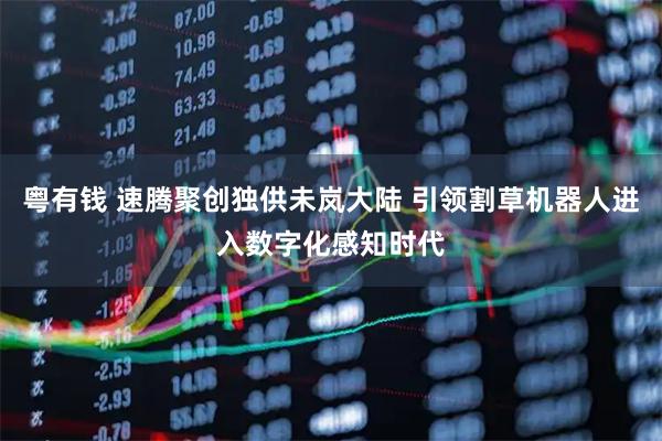 粤有钱 速腾聚创独供未岚大陆 引领割草机器人进入数字化感知时代